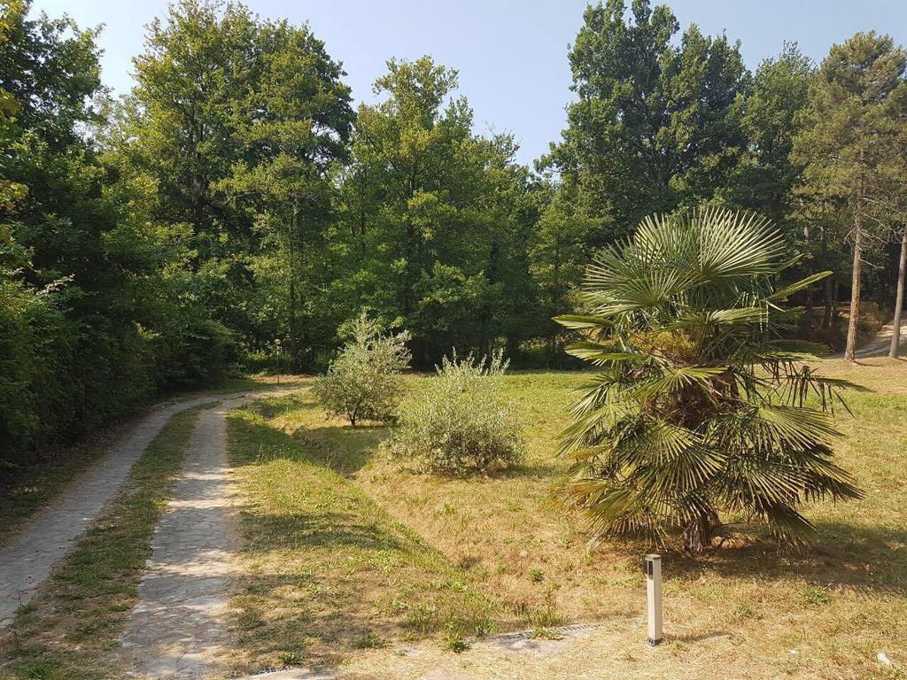 كابانّوري Park View Country House B&B المظهر الخارجي الصورة
